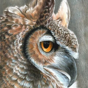 Owl Art Print by Carla Kurt Bird 11 X 14 - Etsy