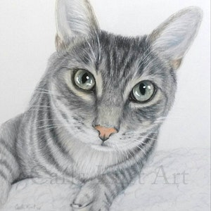Hand Drawn Pet Portrait Custom 8 x 10 Colored Pencil cat dog horse memorial best etsy shop image 5