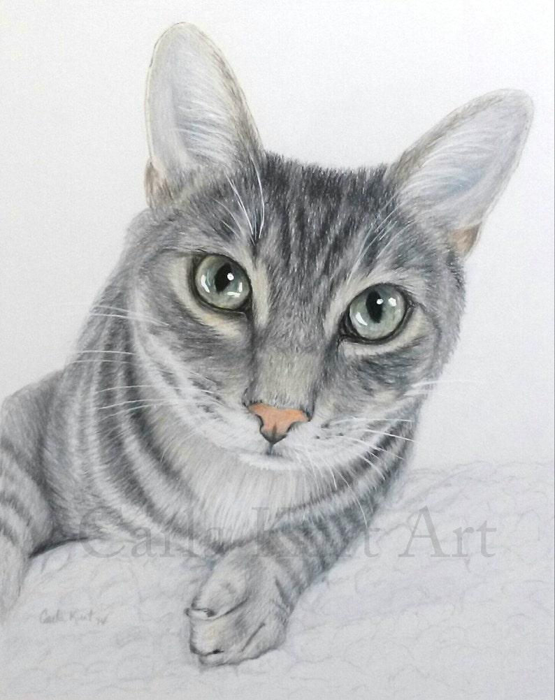 Hand Drawn Pet Portrait Custom 8 x 10 Colored Pencil cat dog horse memorial best etsy shop image 5