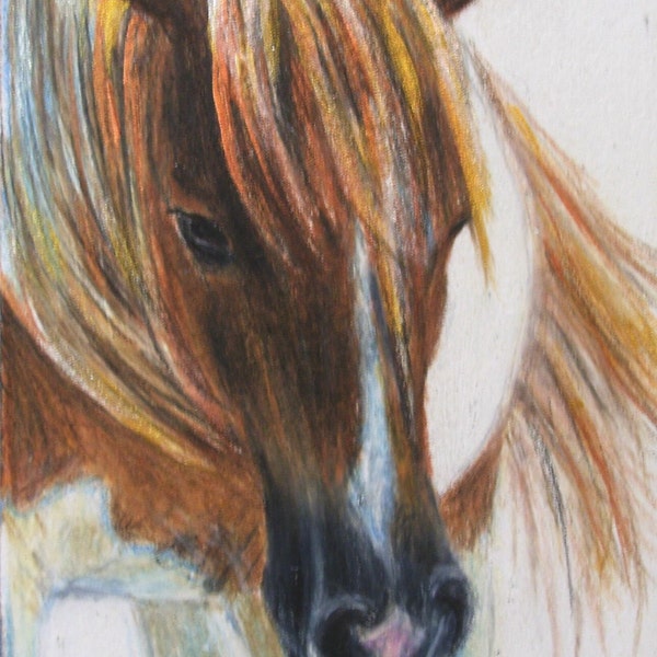 ACEO Breezy Horse by Carla Kurt signed wwao laa ebsq