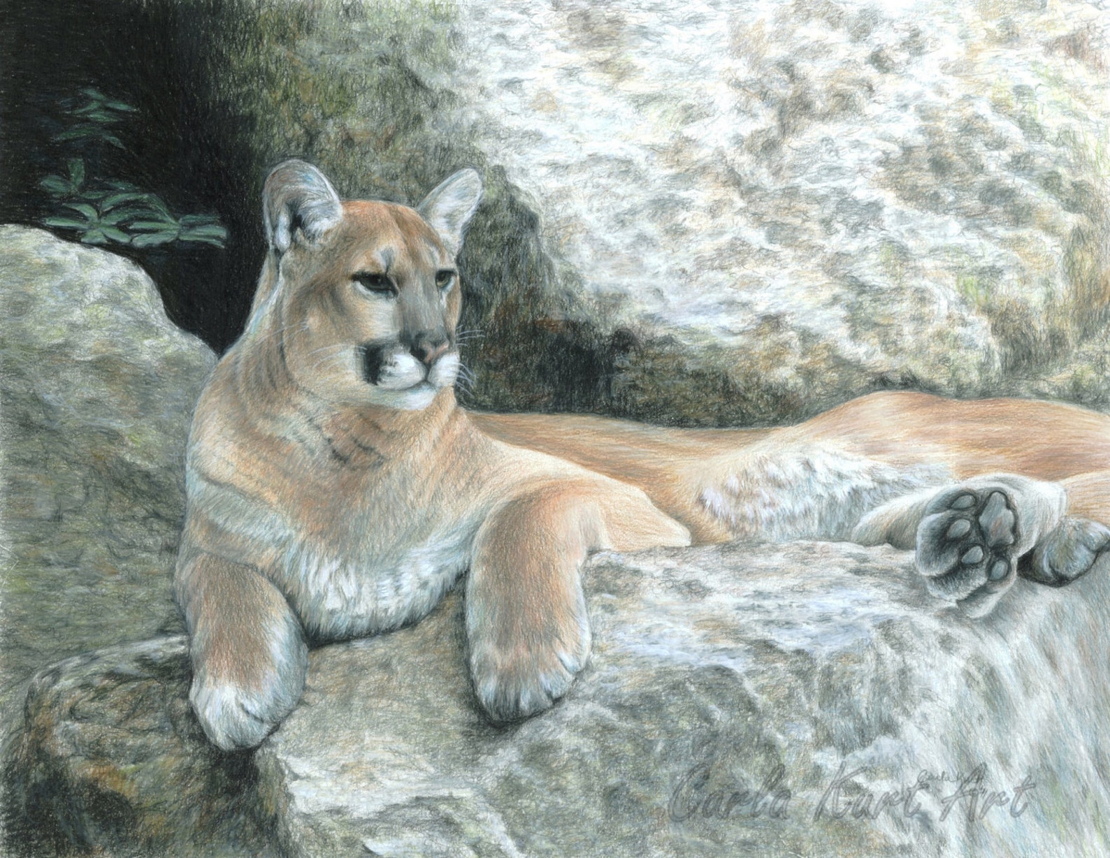 Mountain Lion Art COUGAR HAVEN Original Artwork by Carla Kurt - Etsy