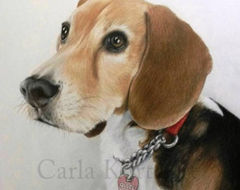 Pet Portrait Custom Hand-Drawn 8 x 10 Colored Pencil Art by Carla Kurt cat horse memorial