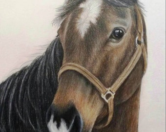 Custom Horse Art Pet Portrait, 11 x 14 Colored Pencil Art, cat dog horse memorial, best etsy shop, top etsy seller