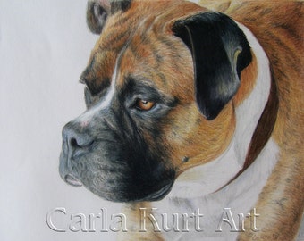 Custom Pet Portrait 8 x 10 Colored Pencil Art by Carla Kurt memorial dog cat horse