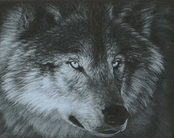 Original Wolf Art DARK WOLF Artwork by Carla Kurt