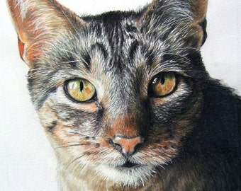 Hand-Drawn Custom Pet Portrait 11 x 14 Colored Pencil Art by Carla Kurt cat dog horse memorial