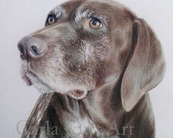 Custom Pet Portrait, dog portrait 11 x 14 pet memorial, best etsy shop, top etsy seller best selling item, pet loss gift