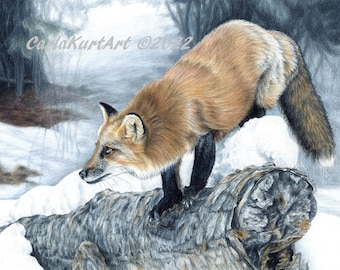 Fox Art Red Fox SIGNED PRINT artwork by Carla Kurt bestselling wildlife top selling snow winter