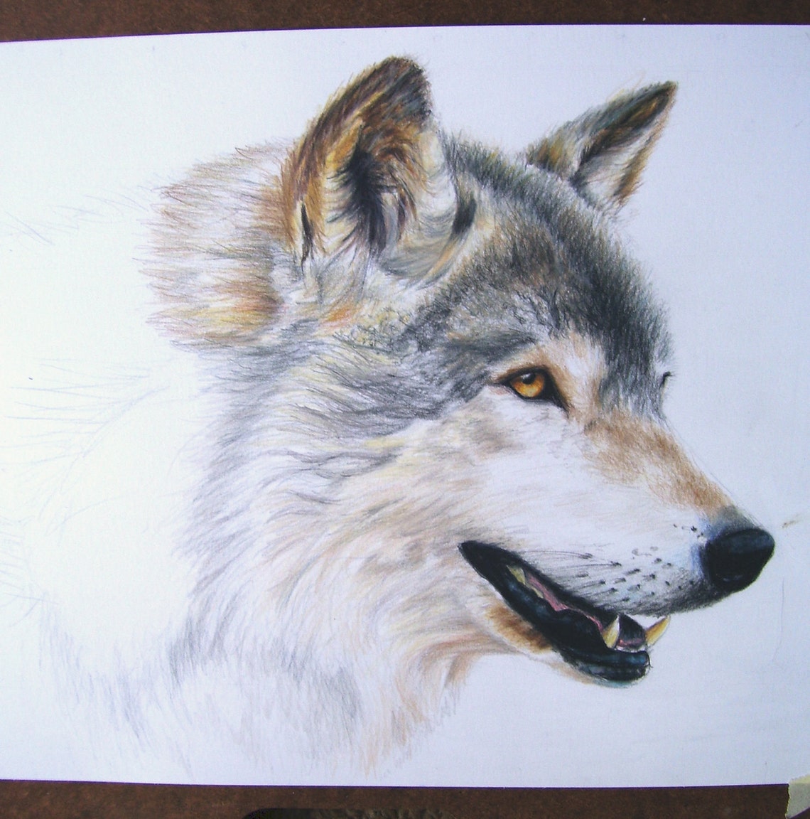Wolf Art TIMBER WOLF Original Artwork by Carla Kurt - Etsy