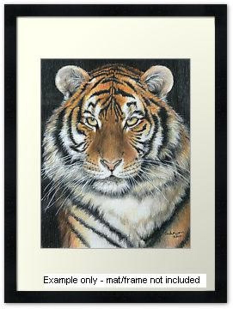 SONGHA Tiger by Carla Kurt signed print image 2