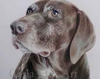 Dog Pet Portrait 5 x 7 Colored Pencil Art by Carla Kurt cat dog horse memorial