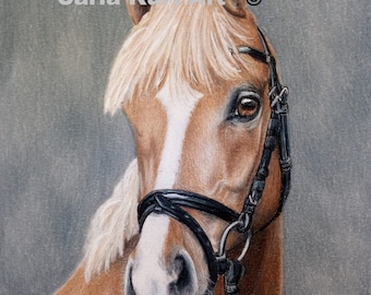 CUSTOM Pet Portrait, horse portrait 11 x 14 cat dog memorial, best etsy, top etsy seller best selling item, portraits of dog