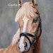 see more listings in the PET PORTRAITS section