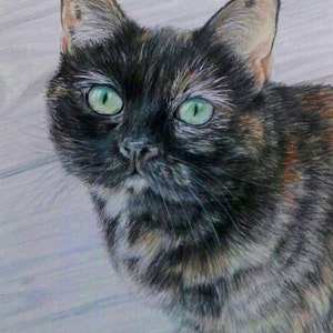 Custom Pet Portrait 8 x 10 colored pencil Art by Carla Kurt image 3