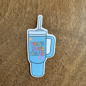 Drink Your Water Stanley Sticker, Waterproof sticker, Water bottle stickers, Kindle sticker, Laptop sticker, Stanley Cup, Cute stickers
