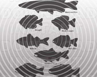 Download Bluegill Svg Etsy