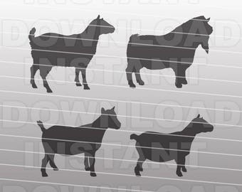 Download Pygmy Goat Svg Etsy