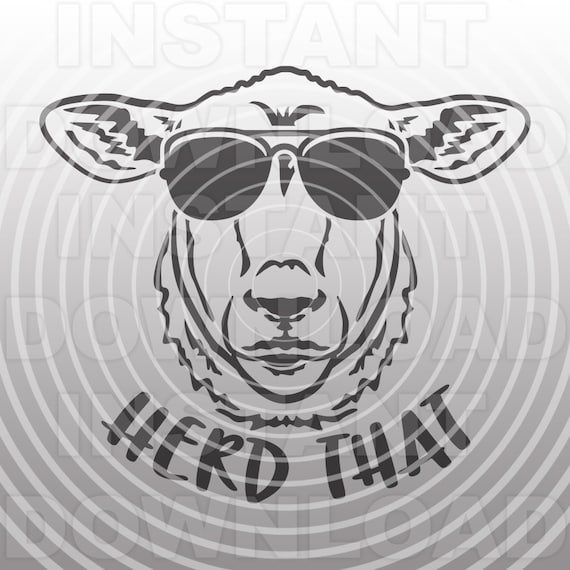 sheep with sunglasses