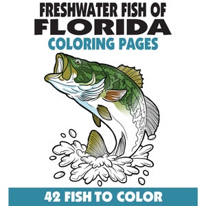 42 Pesci d'acqua dolce della Florida da colorare Libro,Pagine da colorare di pesca,Adolescenti + Bambini,Download istantaneo,PDF stampabile,Animali + Natura