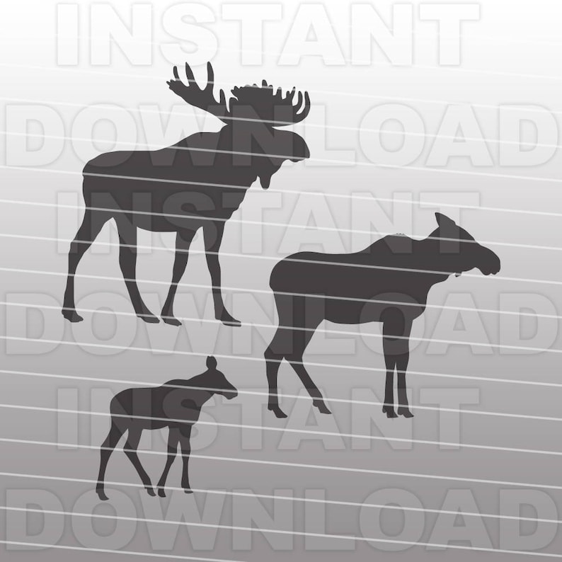 Free Free Baby Moose Svg Free 503 SVG PNG EPS DXF File