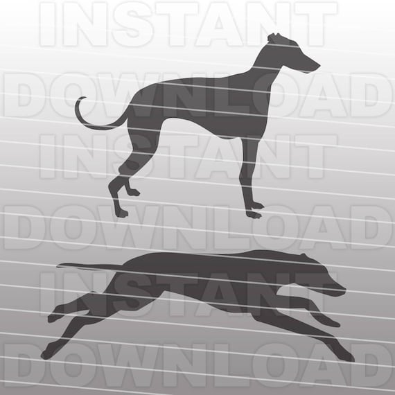 Greyhound SVG File,Greyhound Dog SVG,Rescue Dog SVG-Cutting Template-Vector Clip Art for Commercial & Personal Use-Cricut,Cameo,Silhouette