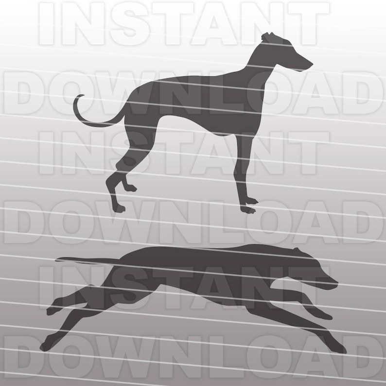 May include: Two black silhouettes of greyhounds. One greyhound is standing, the other is running.