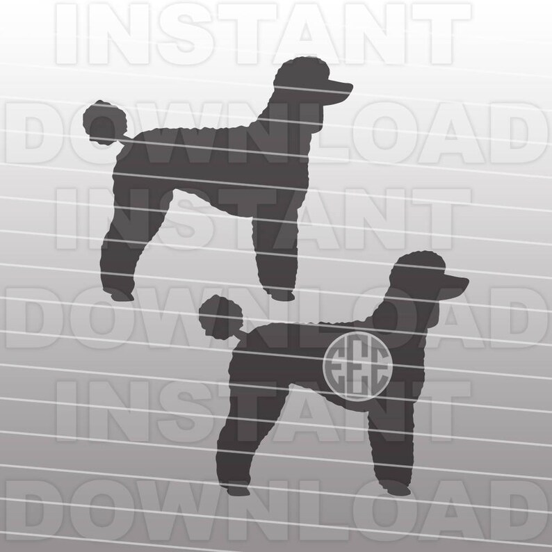 Download Poodle SVGPoodle Monogram SVG FileCutting Template-Vector ...