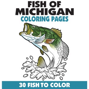 30 Pesci del Michigan da colorare libro, pagine da colorare di pesca, adulti + adolescenti + bambini, download istantaneo, PDF stampabile, animali + natura