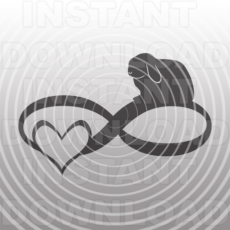 May include: A black silhouette of a rabbit sitting on top of an infinity symbol with a heart shape inside. The background is a gray gradient with concentric circles.