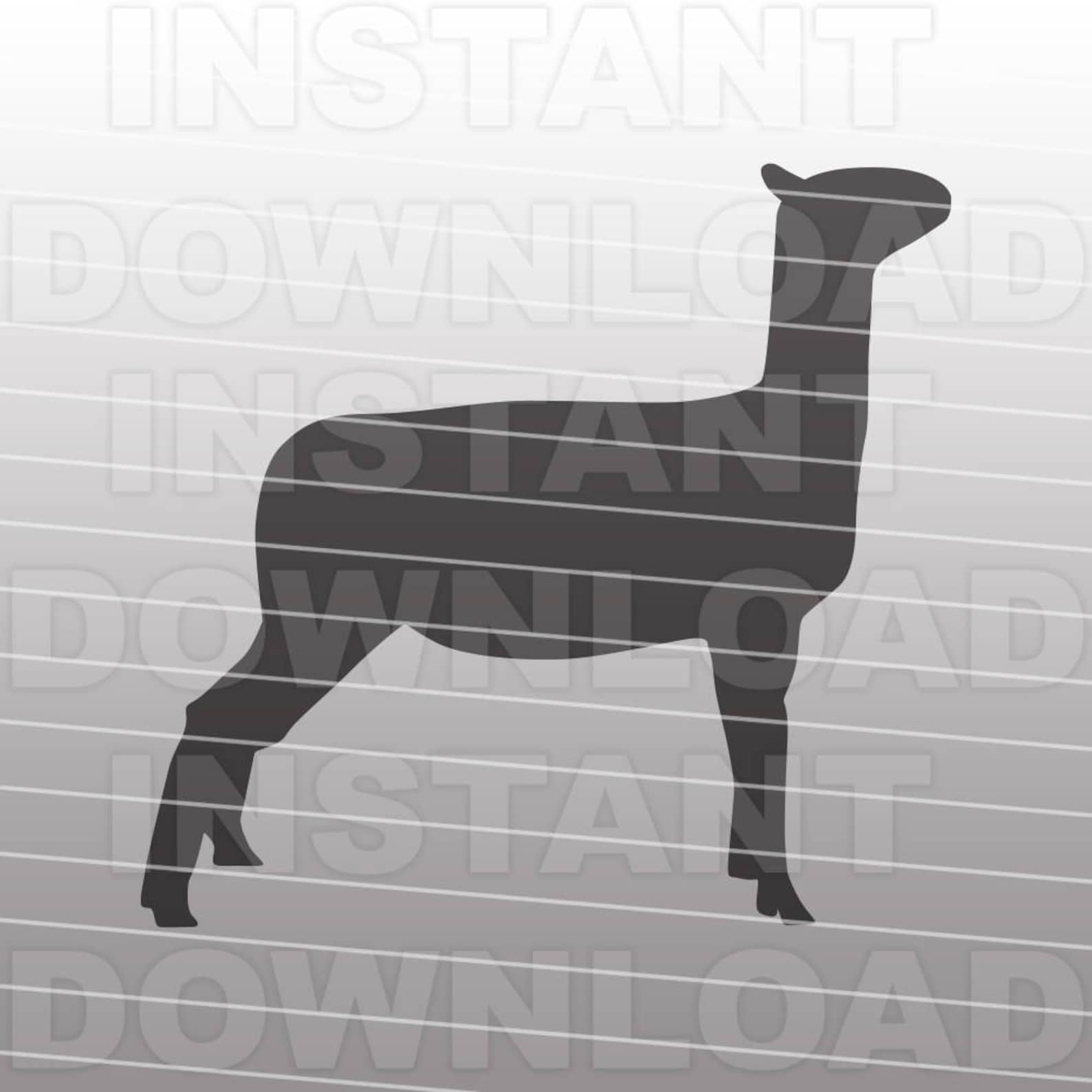 Show Lamb SVG Filelivestock Svg Filefarming Svg vector Art | Etsy