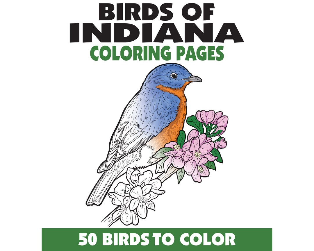 50 Birds of Indiana Coloring Pages Book,birdwatching Coloring Pages ...