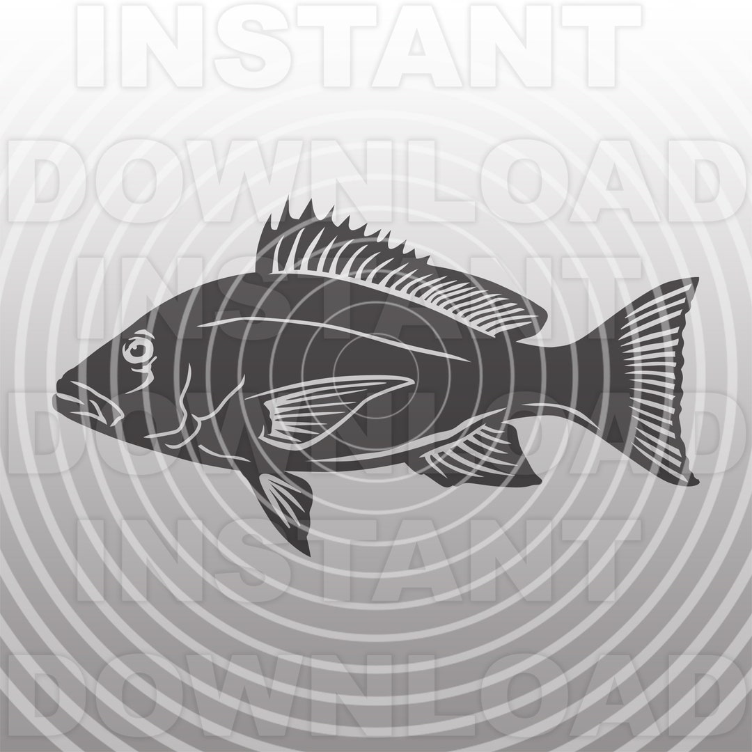 Red Snapper Fish SVG File,snapper Silhouette SVG -vector Art Commercial ...