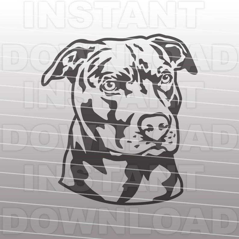 May include: Black and white line art illustration of a pit bull dog's head. The dog is looking to the right of the image.