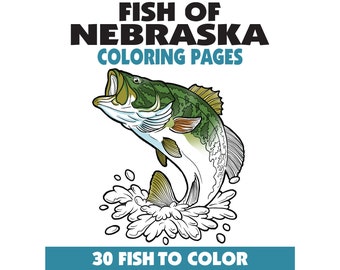 30 målarbilder med fiskar från Nebraska, målarbilder med fiske, vuxna + tonåringar + barn, direkt nedladdning, utskrivbar PDF, djur + natur