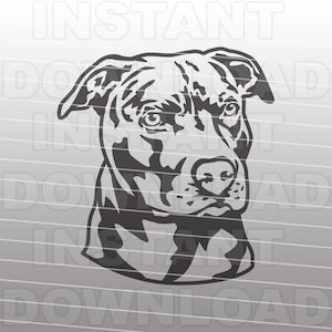 May include: Black and white line art illustration of a pit bull dog's head. The dog is looking to the right of the image.