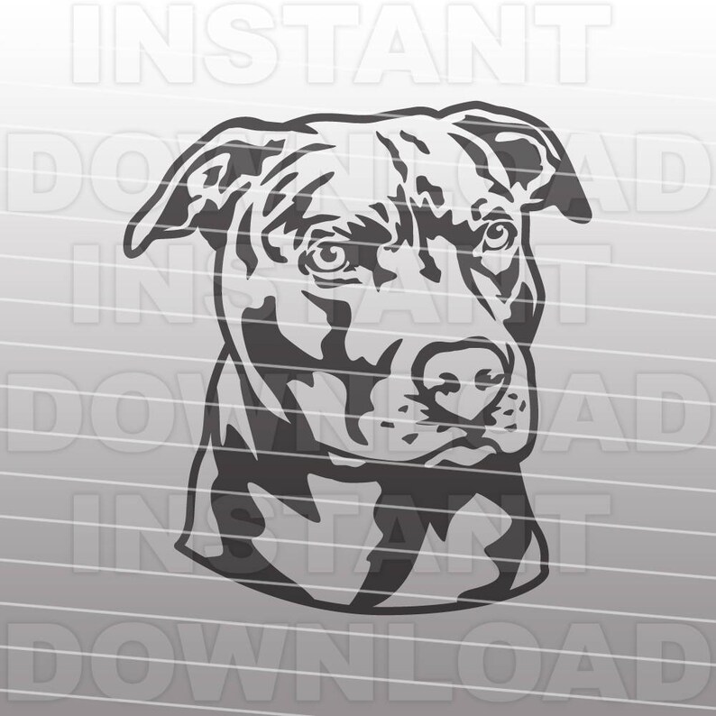 May include: Black and white line art illustration of a pit bull dog's head. The dog is looking to the right of the image.