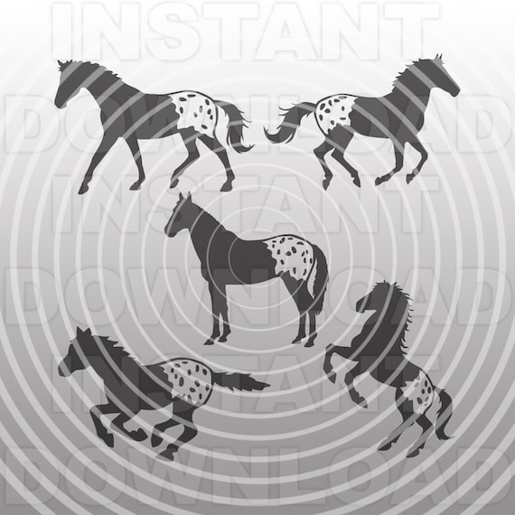Download Appaloosa Horses Svg Bundlebarrel Racing Svgwestern Svg Etsy 3D SVG Files Ideas | SVG, Paper Crafts, SVG File