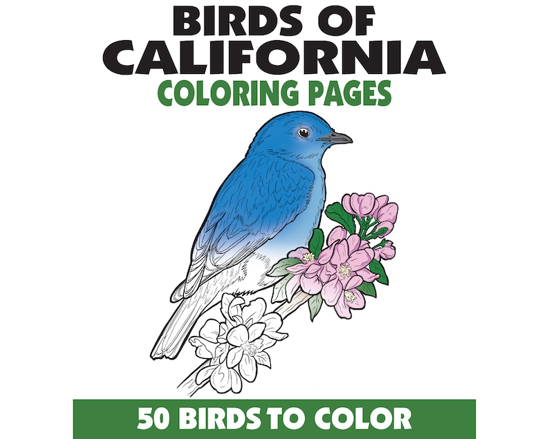 50 Birds of California Coloring Pages Book,birdwatching Coloring Pages ...