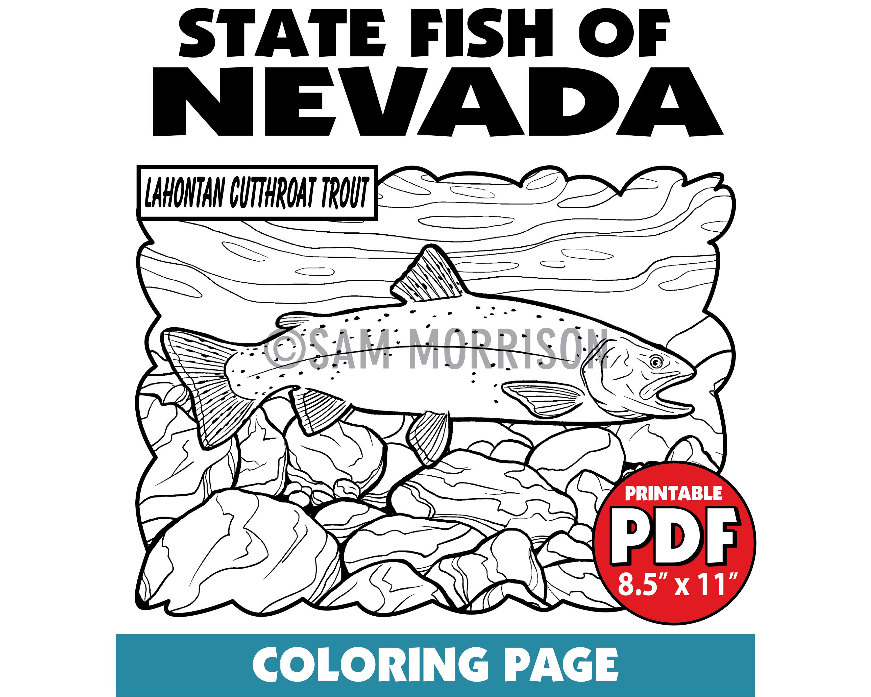 Lahontan cutthroat trout State Fish of Nevada Printable Coloring Page - PDF DOWNLOAD