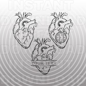 Anatomical Heart SVG File,Anatomical Heart Monogram svg,Anatomy SVG -Vector Art Commercial/Personal Use- Cricut,Cameo,Silhouette,Vinyl Decal