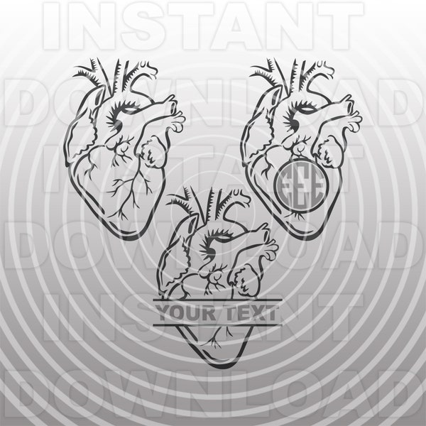 Anatomical Heart SVG File,Anatomical Heart Monogram svg,Anatomy SVG -Vector Art Commercial/Personal Use- Cricut,Cameo,Silhouette,Vinyl Decal