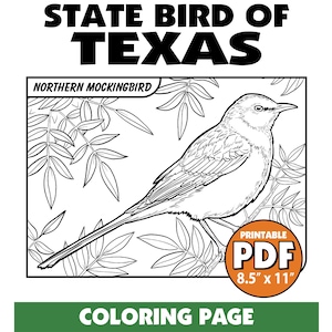 Peut inclure: Une page à colorier en noir et blanc représentant le Moqueur polyglotte, l'oiseau emblématique du Texas. L'oiseau est perché sur une branche avec des feuilles. Le texte "STATE BIRD OF TEXAS" et "NORTHERN MOCKINGBIRD" est en haut de la page. Le texte "PRINTABLE PDF 8.5" x 11" est en bas de la page.
