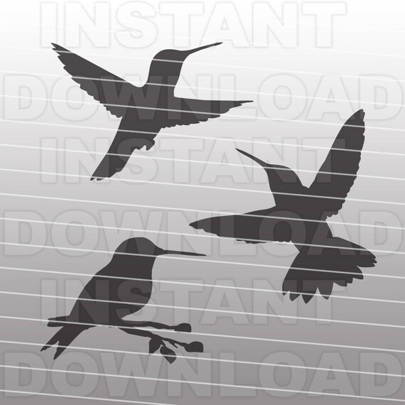 Hummingbirds SVG File,Cutting Template-Vector Clip Art for Commercial & Personal Use-Cricut,Cameo,Sizzix,Pazzles,Vinyl,Silhouette,Decal