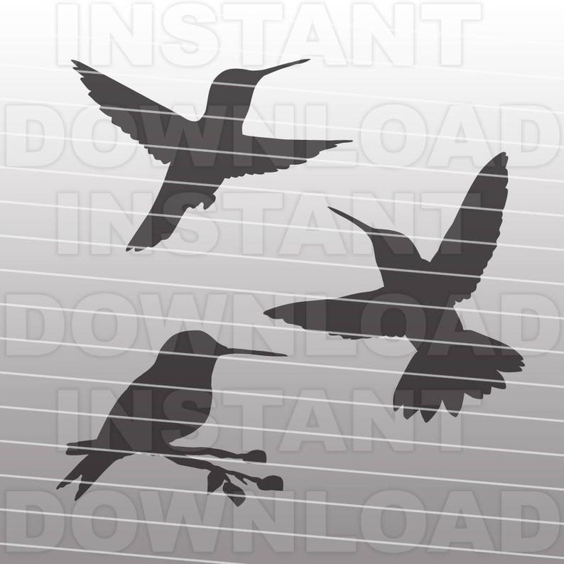 May include: Three black silhouette hummingbird designs. One hummingbird is perched on a branch with its wings folded. The other two hummingbirds are in flight with their wings spread.