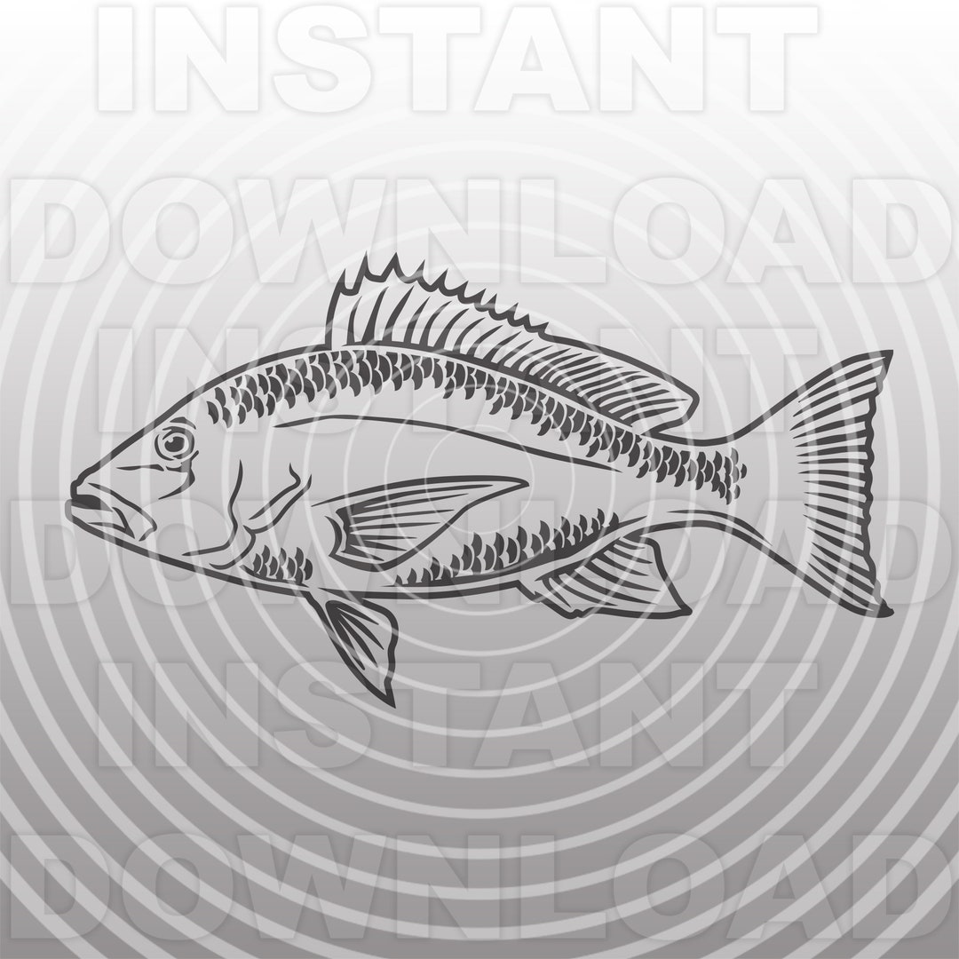 Realistic Red Snapper Fish SVG File,fisherman SVG -vector Art ...