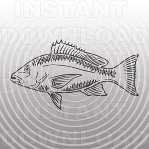 Archivo SVG de pez pargo rojo realista, SVG de pescador - Arte vectorial para uso comercial y personal - Cricut, Cameo, Silhouette, calcomanía de vinilo, vinilo termoadhesivo