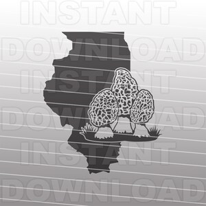 Illinois Morel paddestoelen SVG-bestand, paddestoel jacht SVG-vector kunst commercieel/persoonlijk gebruik-Cricut, silhouet cameo, vinyl SVG, opstrijkbare vinyl