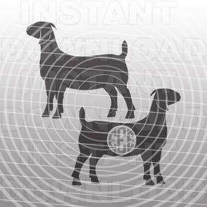 Boer Goat SVG File, Show Goat SVG File, Livestock svg -Commercial & Personal Use- vector clip art pour Cricut, Silhouette Cameo, Vinyl Decal