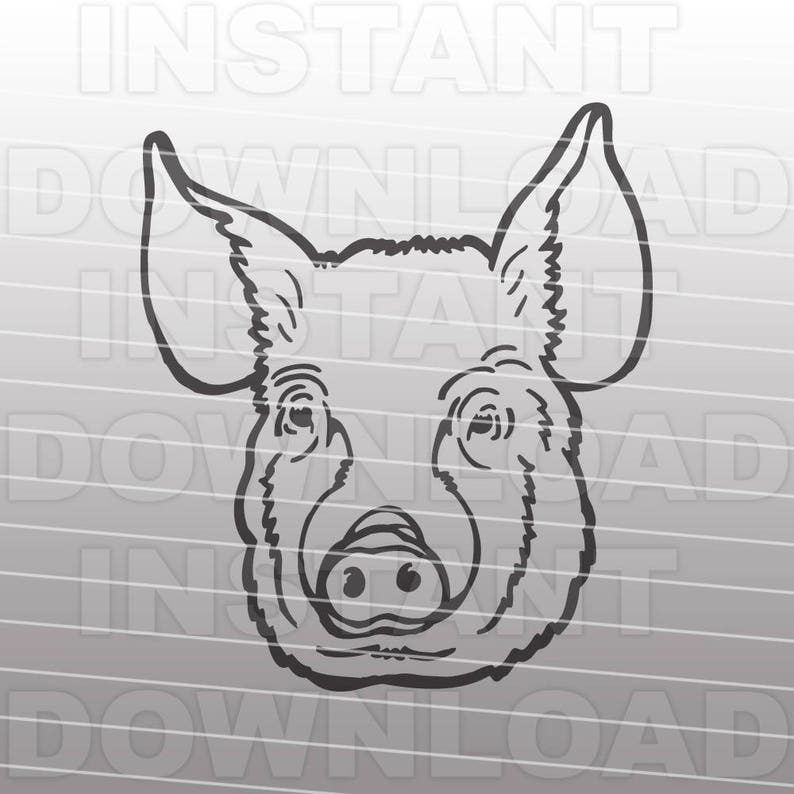 Download Pig Face SVG FileStock Show Pig SVG FileLivestock svg FFA ...