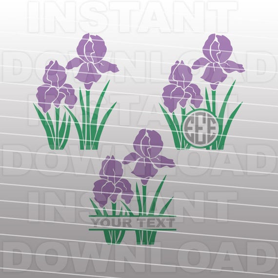 Free Free 336 Iris Flower Svg Free SVG PNG EPS DXF File
